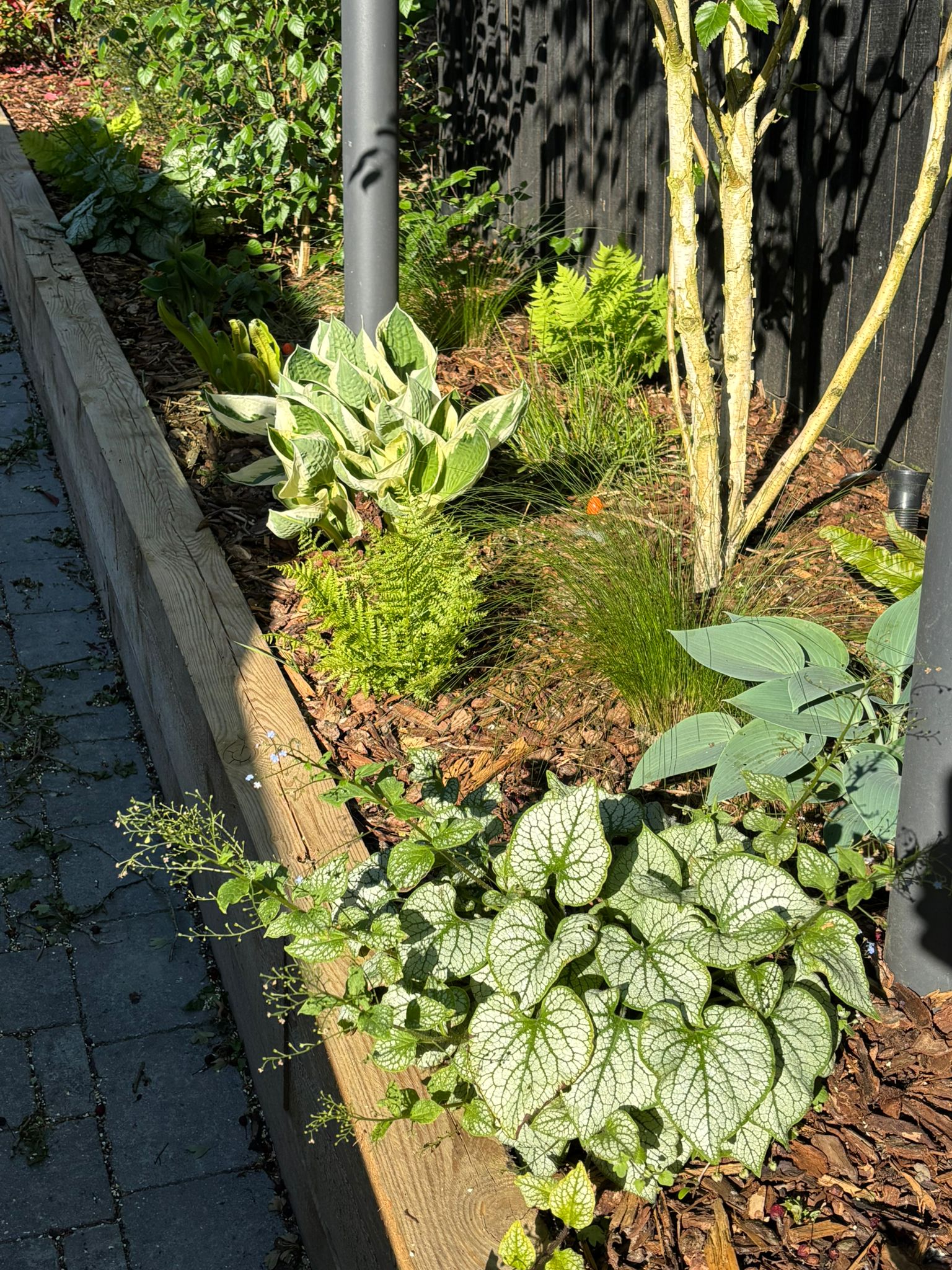 Plant Supply and Sourcing